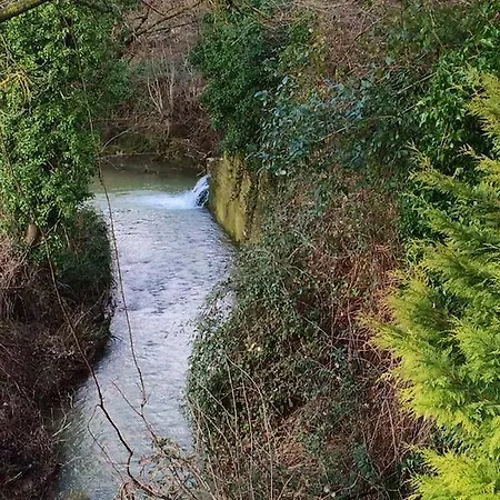 Frühstückspension Le Clos De L'ambre Divajeu