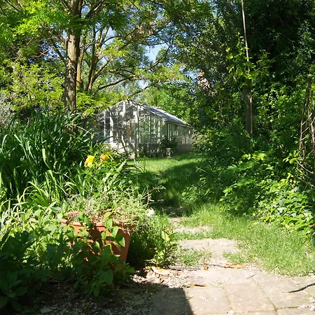 Bed and breakfast Le Clos De L'ambre Divajeu