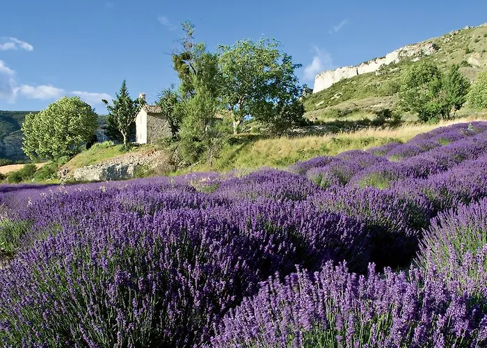 לינה וארוחת בוקר Le Clos De L'ambre